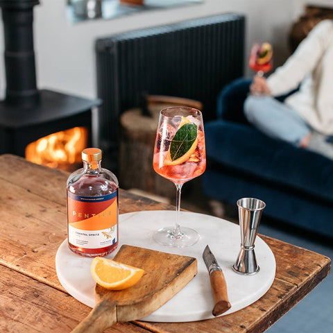 Pentire Coastal Spritz